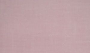 lakeside linen, wood smoke 40 count (quarter)